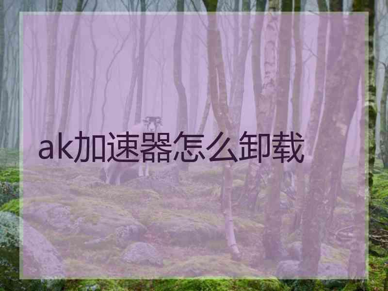 ak加速器怎么卸载 ak加速器怎么卸载