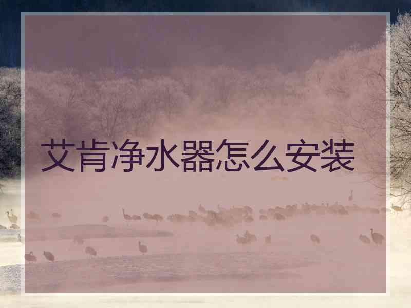 艾肯净水器怎么安装 艾肯净水器怎么安装