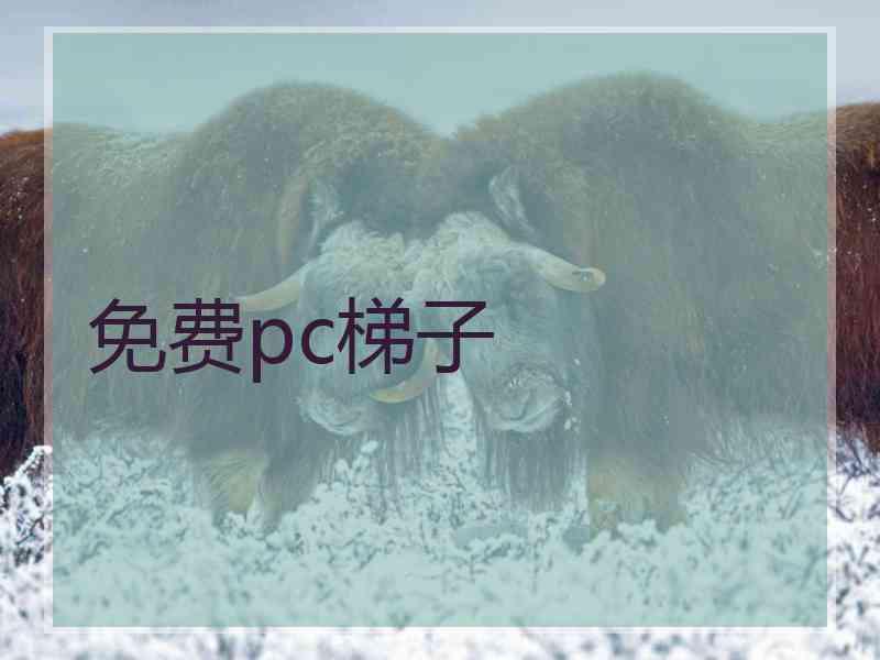 免费pc梯子 免费pc梯子