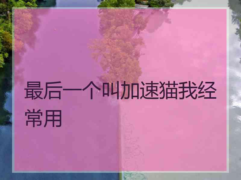 最后一个叫加速猫我经常用 最后一个叫加速猫我经常用