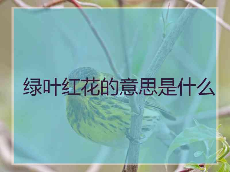绿叶红花的意思是什么 绿叶红花的意思是什么