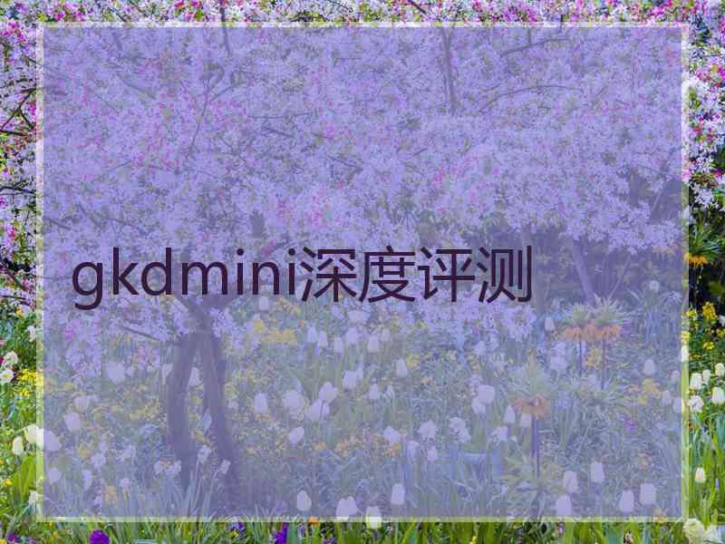 gkdmini深度评测 gkdmini深度评测