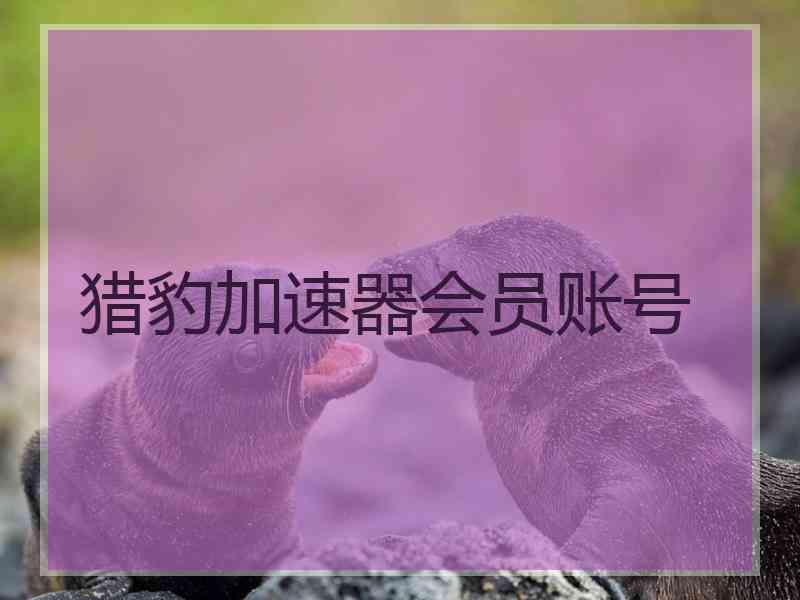 猎豹加速器会员账号 猎豹加速器会员账号