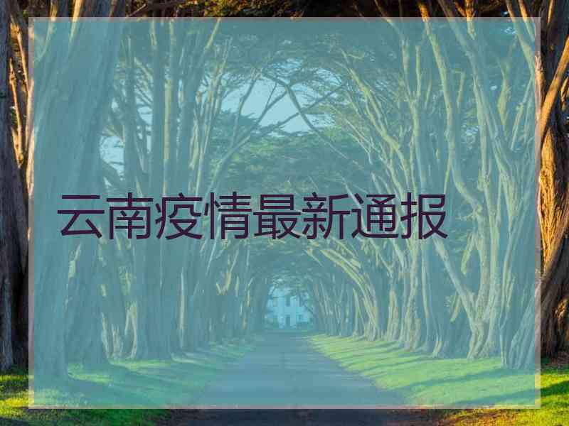 云南疫情最新通报 云南疫情最新通报