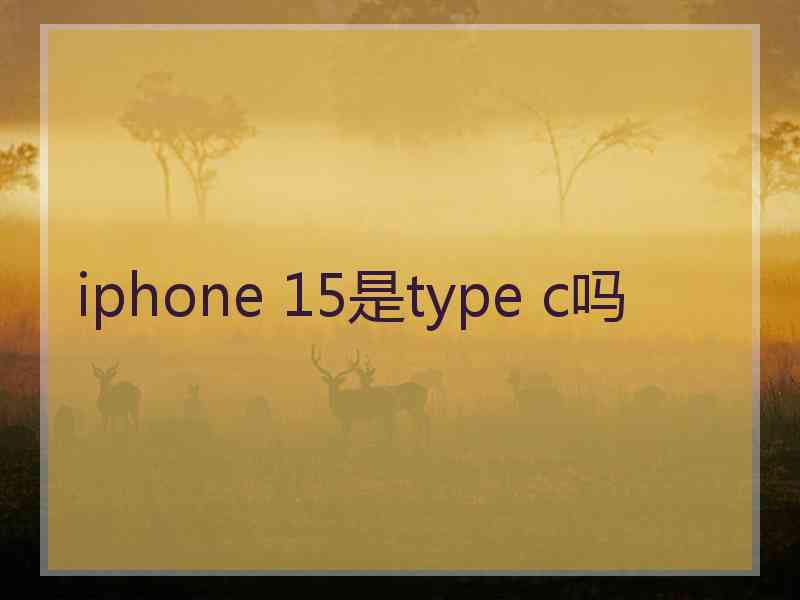 iphone 15是type c吗 iphone 15是type c吗