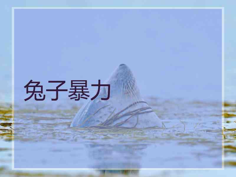 兔子暴力 兔子暴力