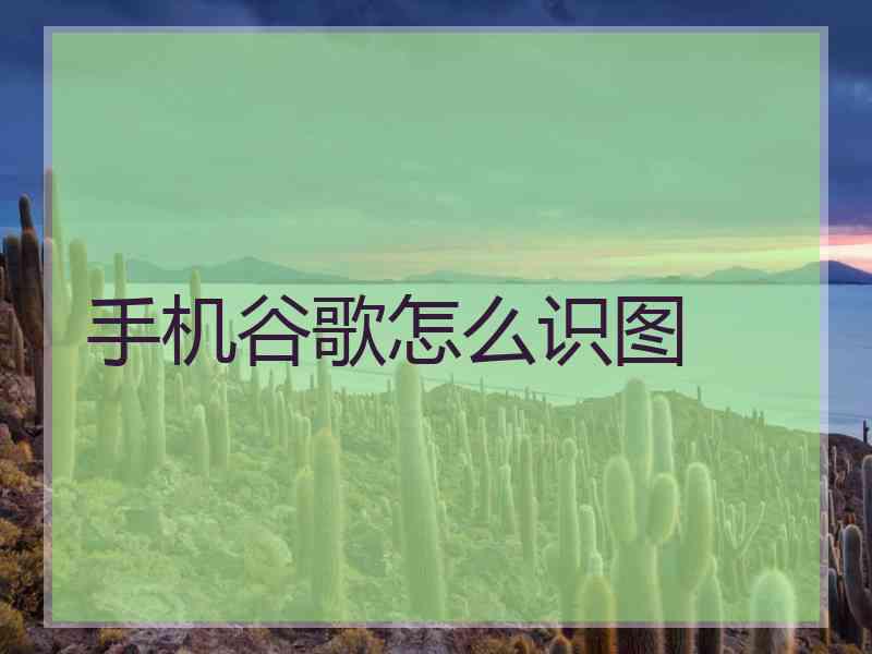 手机谷歌怎么识图 手机谷歌怎么识图