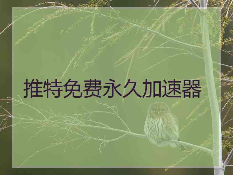 推特免费永久加速器 推特免费永久加速器