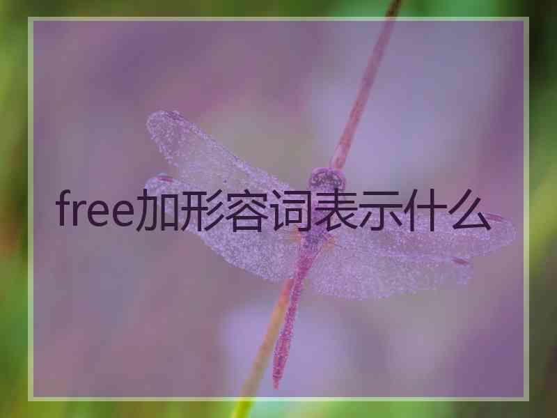 free加形容词表示什么 free加形容词表示什么