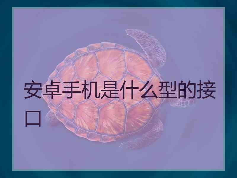 安卓手机是什么型的接口 安卓手机是什么型的接口