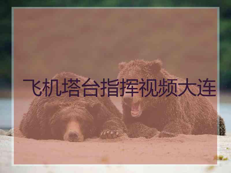 飞机塔台指挥视频大连 飞机塔台指挥视频大连