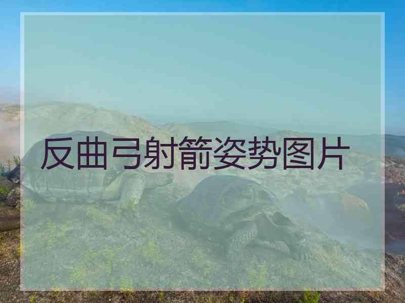 反曲弓射箭姿势图片 反曲弓射箭姿势图片