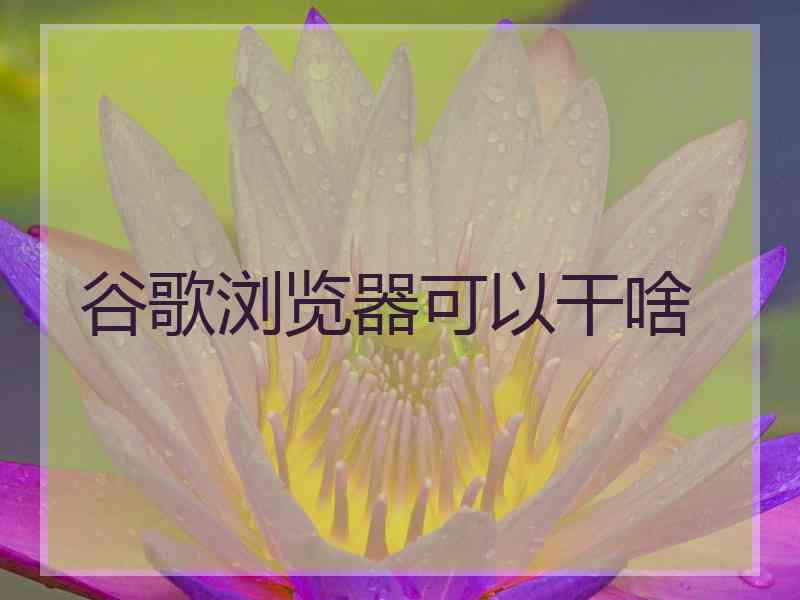 谷歌浏览器可以干啥 谷歌浏览器可以干啥