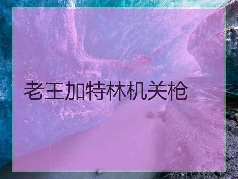 老王加特林机关枪 老王加特林机关枪