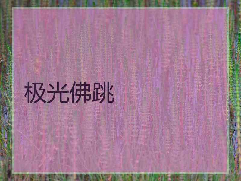极光佛跳 极光佛跳