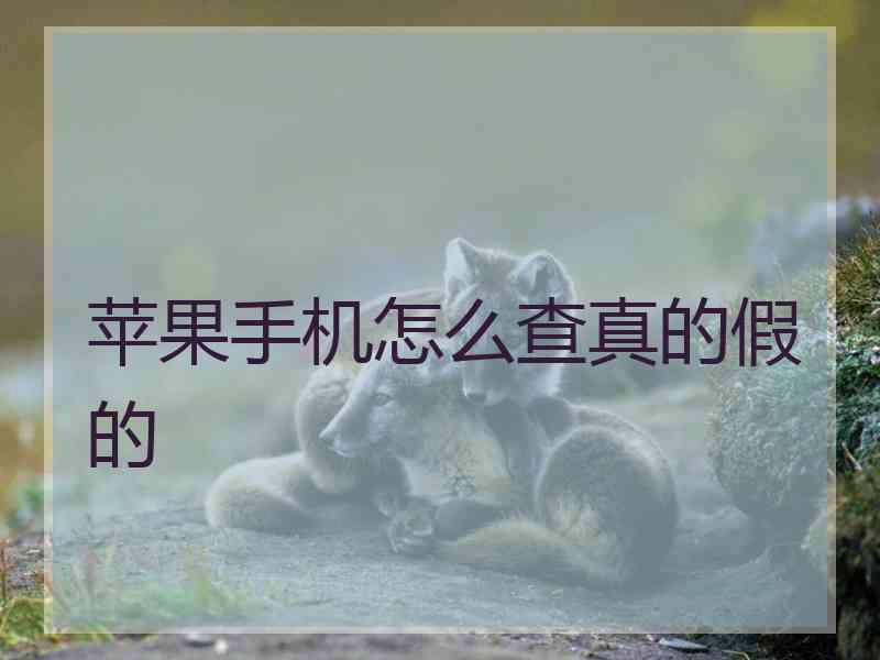 苹果手机怎么查真的假的 苹果手机怎么查真的假的