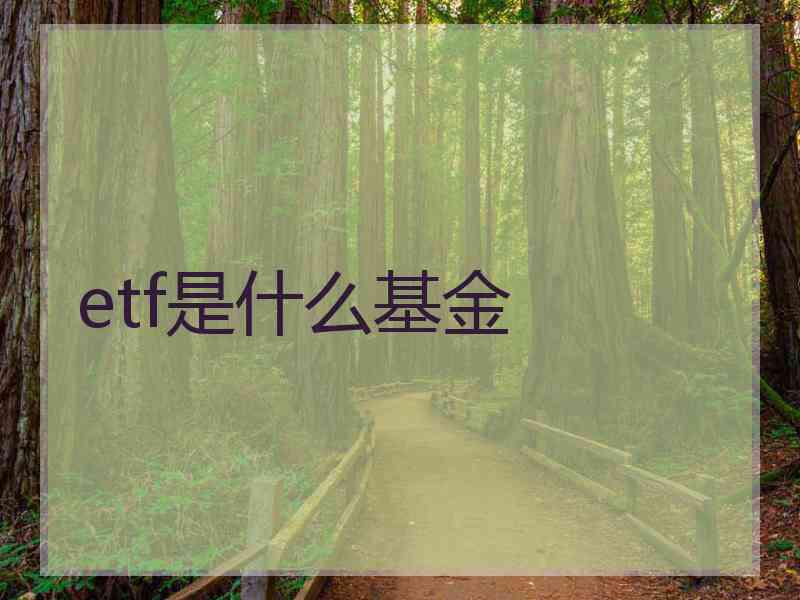 etf是什么基金 etf是什么基金