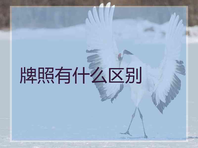 牌照有什么区别 牌照有什么区别