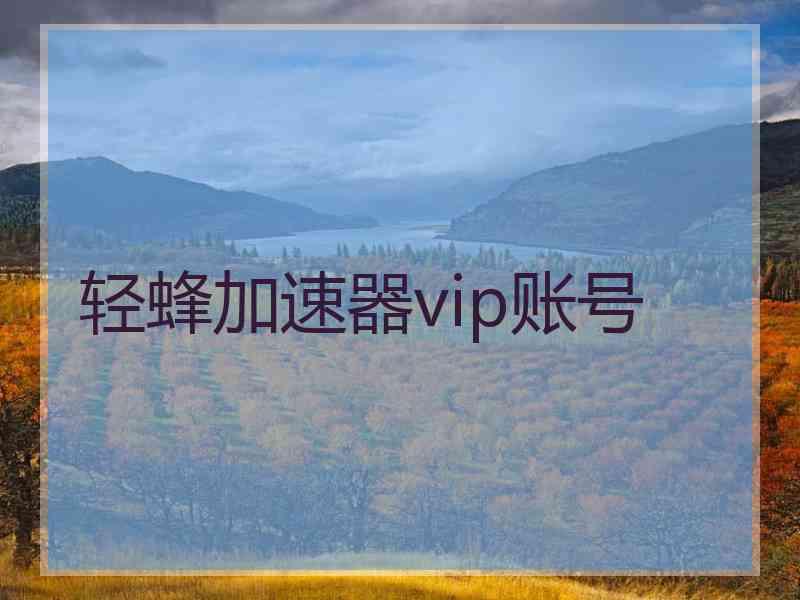 轻蜂加速器vip账号 轻蜂加速器vip账号