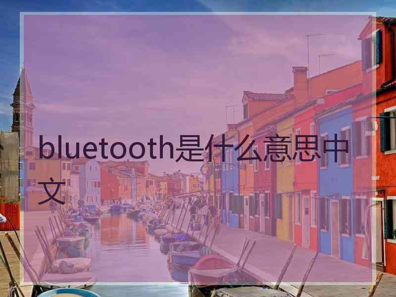 bluetooth是什么意思中文 bluetooth是什么意思中文