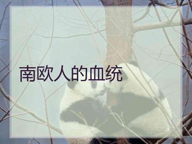 南欧人的血统 南欧人的血统