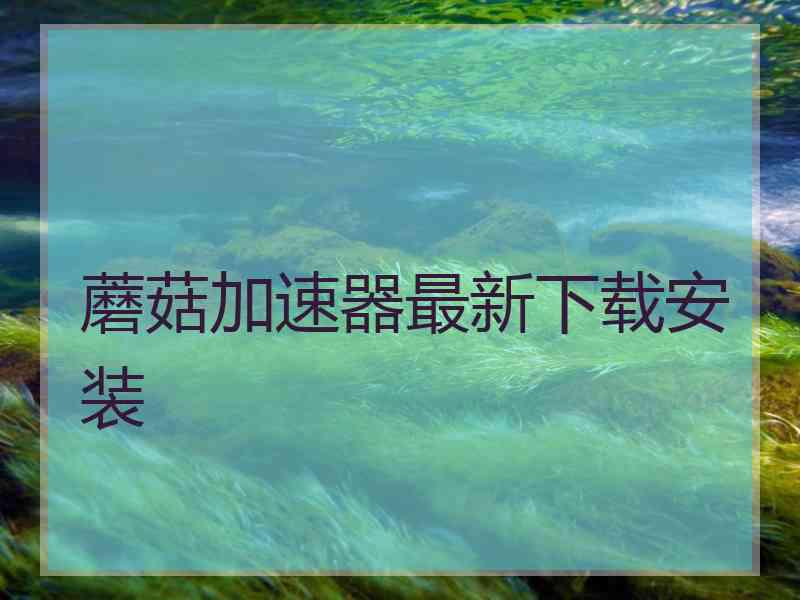 蘑菇加速器最新下载安装 蘑菇加速器最新下载安装