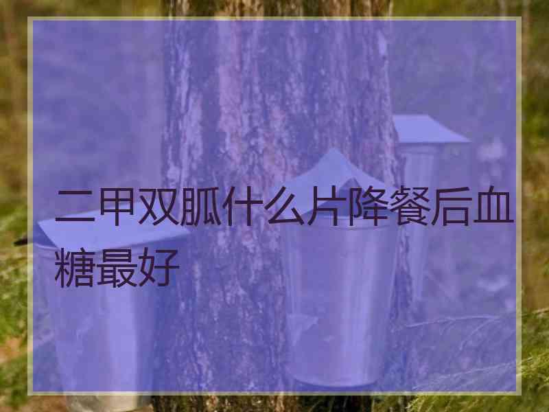 二甲双胍什么片降餐后血糖最好 二甲双胍什么片降餐后血糖最好