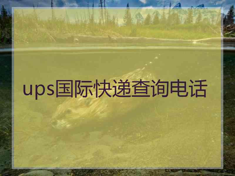 ups国际快递查询电话 ups国际快递查询电话