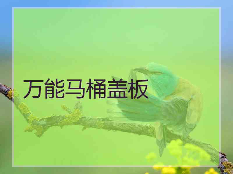 万能马桶盖板 万能马桶盖板