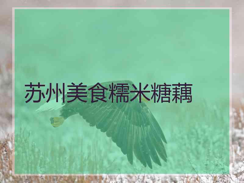 苏州美食糯米糖藕 苏州美食糯米糖藕