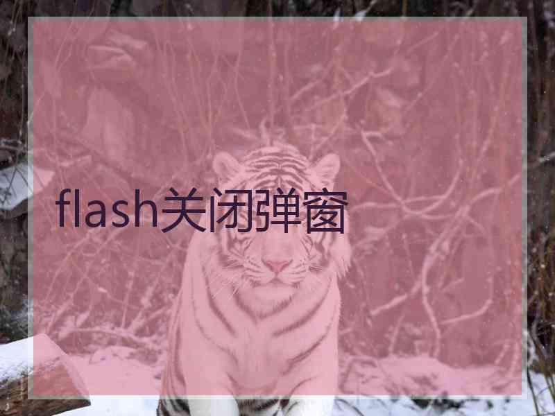 flash关闭弹窗 flash关闭弹窗