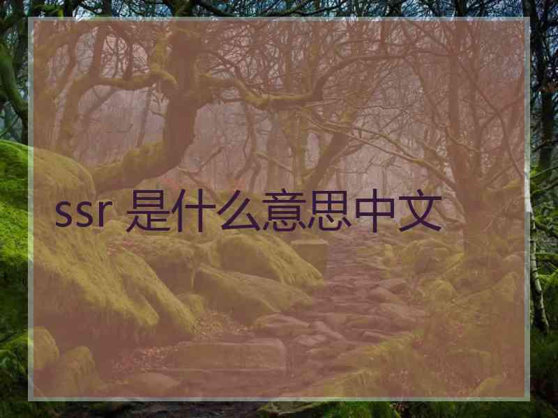 ssr 是什么意思中文 ssr 是什么意思中文