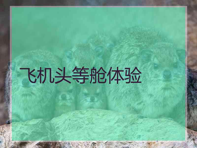 飞机头等舱体验 飞机头等舱体验