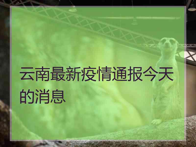 云南最新疫情通报今天的消息 云南最新疫情通报今天的消息