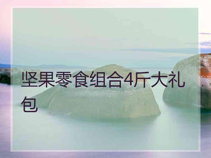 坚果零食组合4斤大礼包 坚果零食组合4斤大礼包
