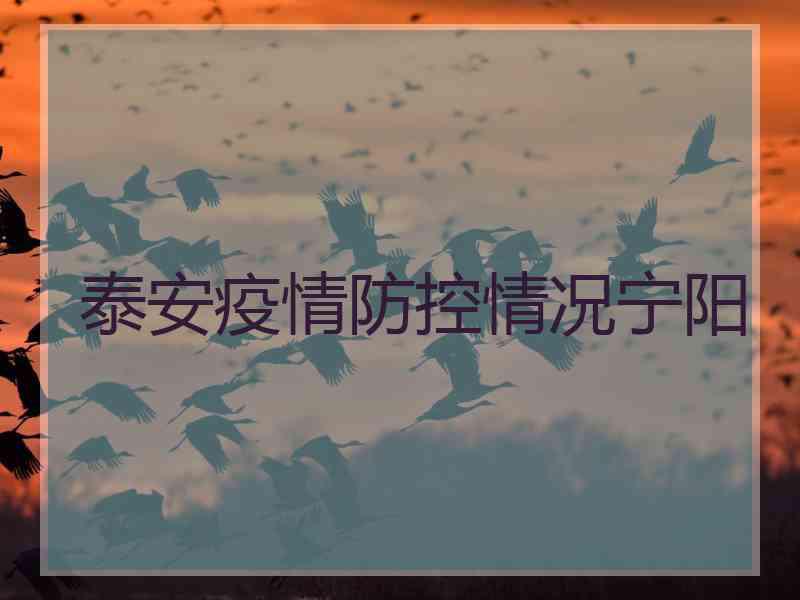 泰安疫情防控情况宁阳 泰安疫情防控情况宁阳