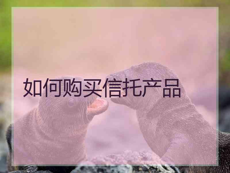 如何购买信托产品 如何购买信托产品