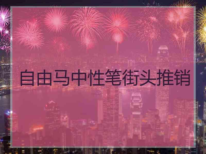 自由马中性笔街头推销 自由马中性笔街头推销