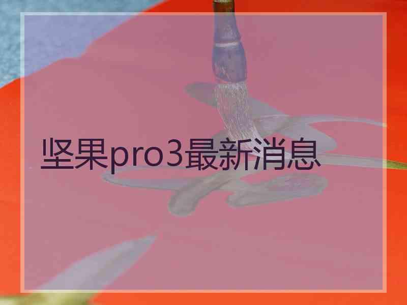 坚果pro3最新消息 坚果pro3最新消息