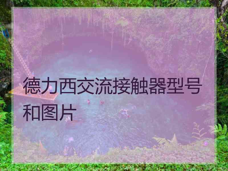 德力西交流接触器型号和图片 德力西交流接触器型号和图片