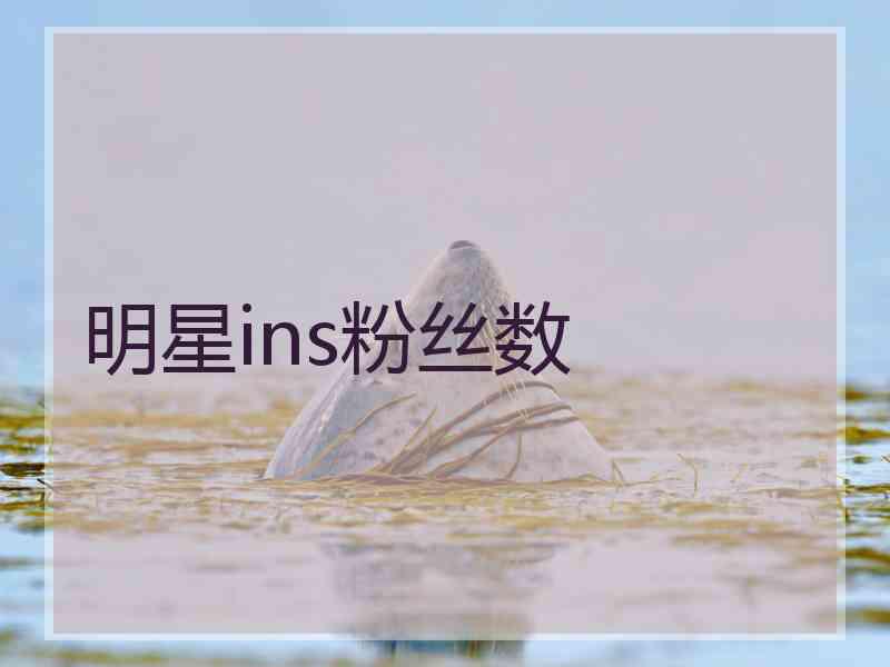 明星ins粉丝数 明星ins粉丝数