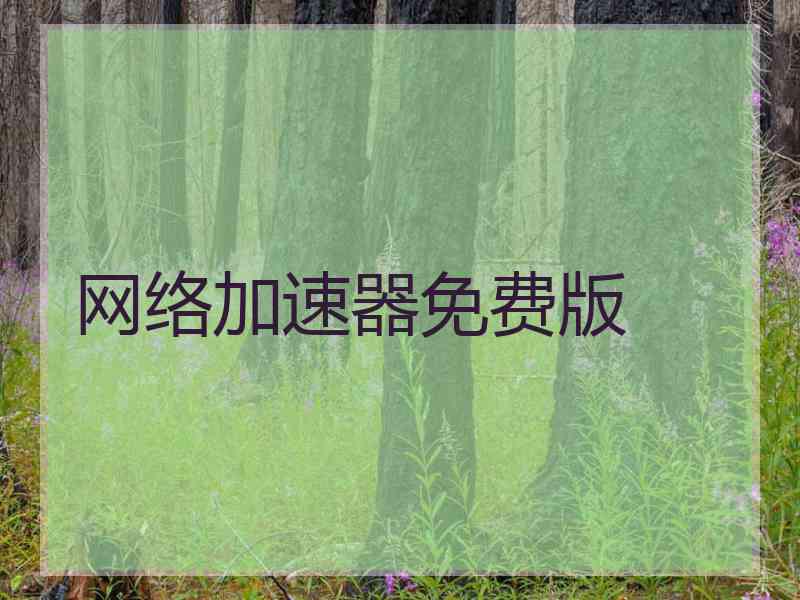 网络加速器免费版 网络加速器免费版