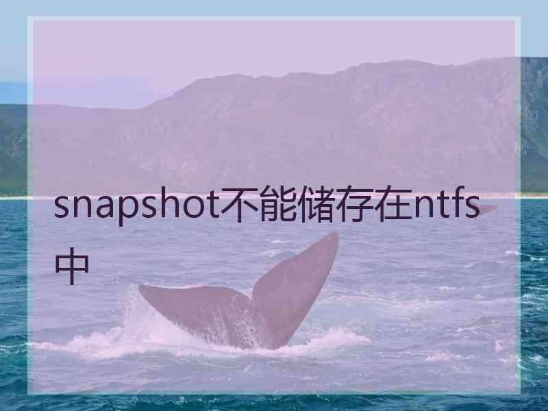 snapshot不能储存在ntfs中 snapshot不能储存在ntfs中