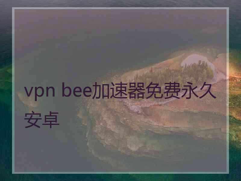 vpn bee加速器免费永久安卓 vpn bee加速器免费永久安卓