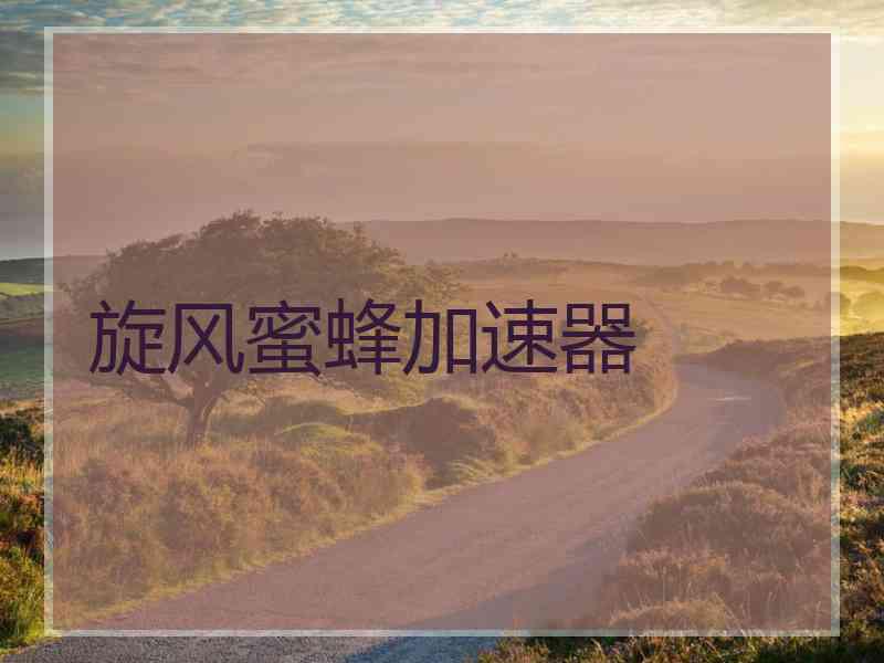 旋风蜜蜂加速器 旋风蜜蜂加速器