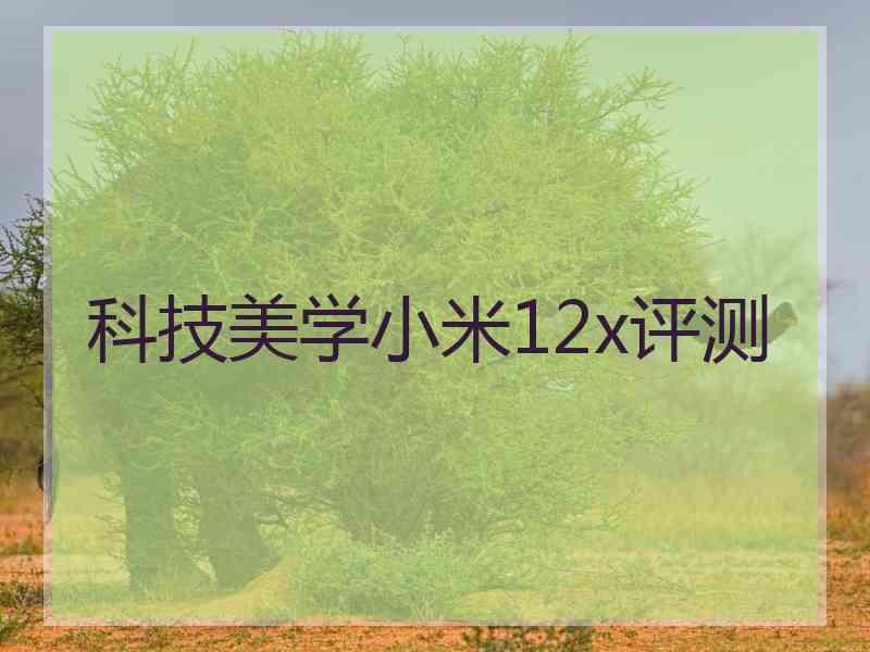 科技美学小米12x评测 科技美学小米12x评测