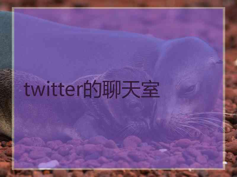 twitter的聊天室 twitter的聊天室