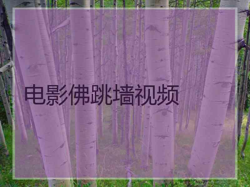 电影佛跳墙视频 电影佛跳墙视频