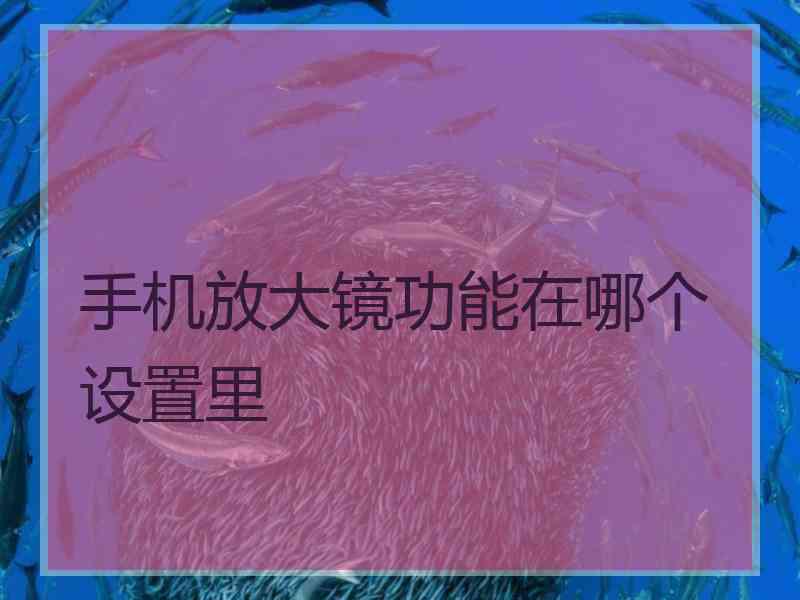 手机放大镜功能在哪个设置里 手机放大镜功能在哪个设置里