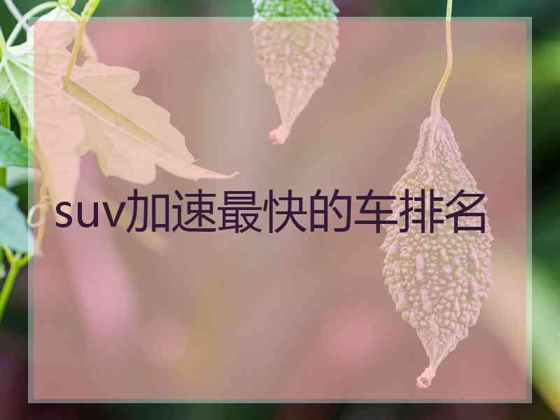 suv加速最快的车排名 suv加速最快的车排名